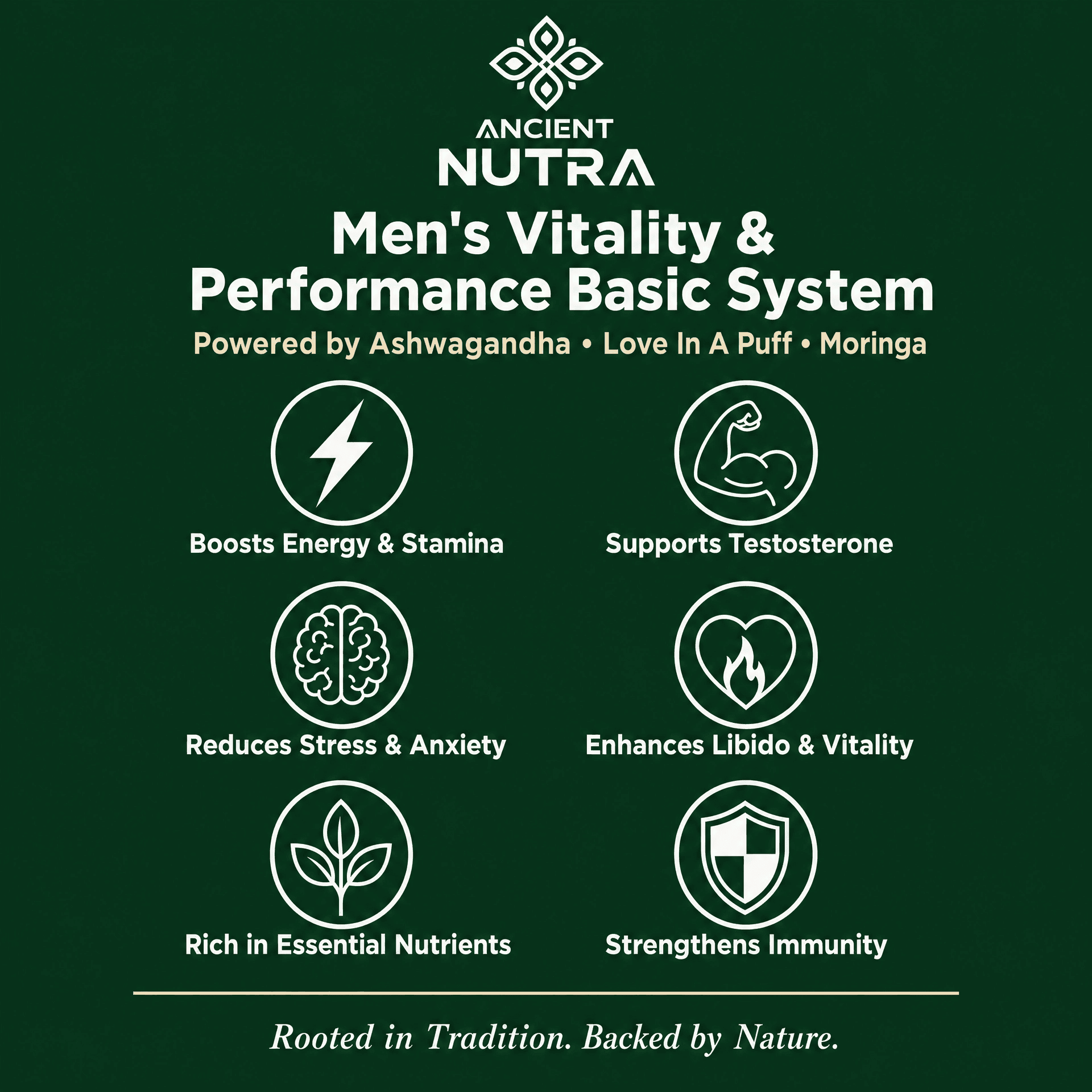 Men's fertility and performance basic system