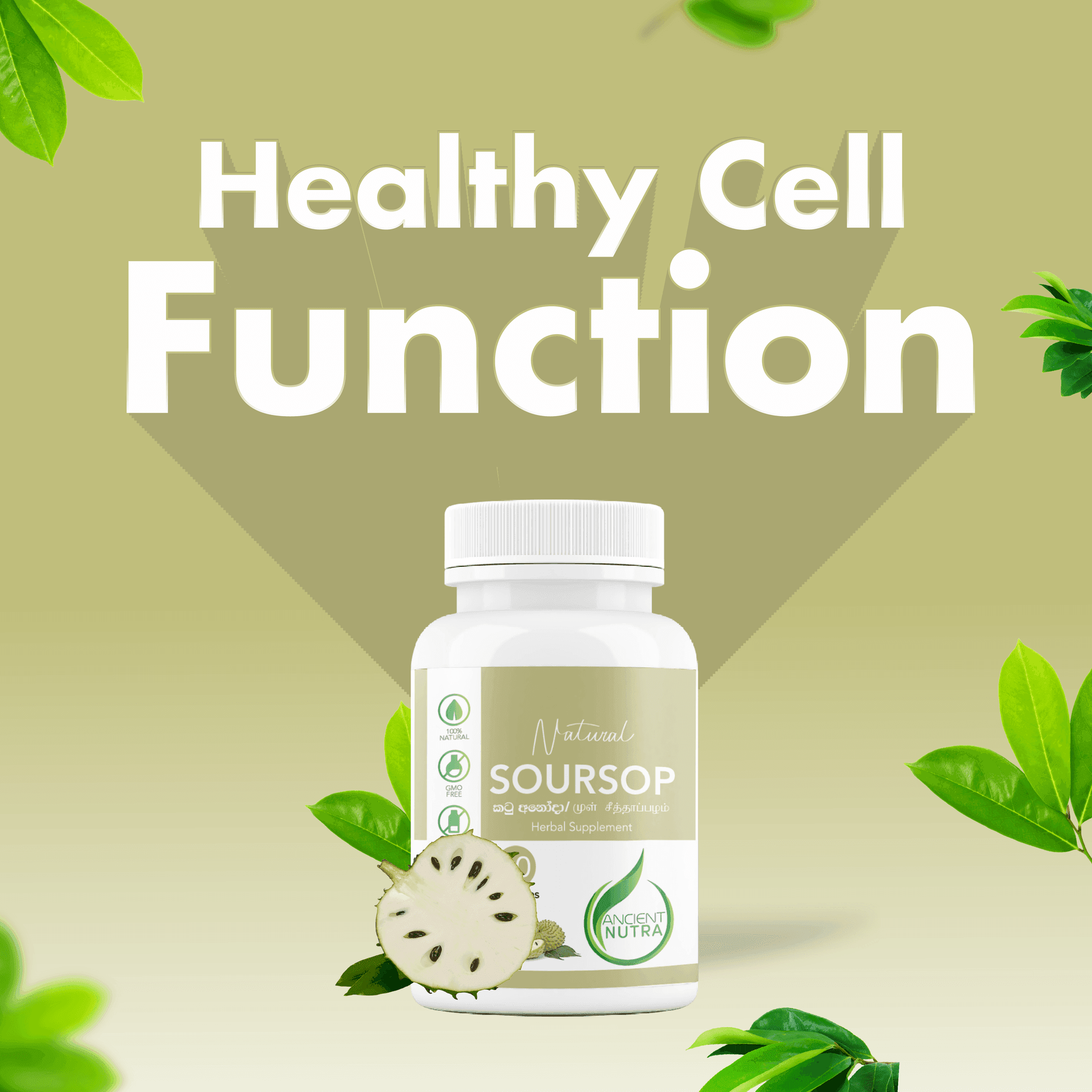 Soursop (Anoda Leaves) - 60 capsules